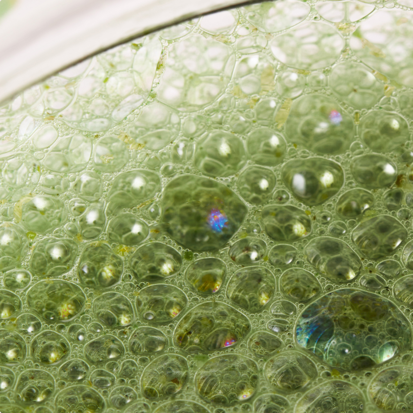 ProductMacroShots_PDP_DailyGreens_Large-1